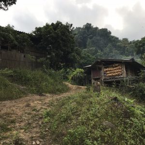 Wioska Karen Trekking w Chiang Mai Karen tribe hill