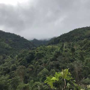 Trekking w Chiang Mai