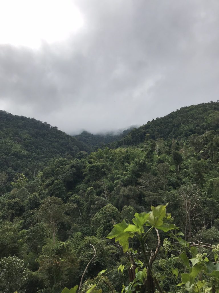 Trekking w Chiang Mai