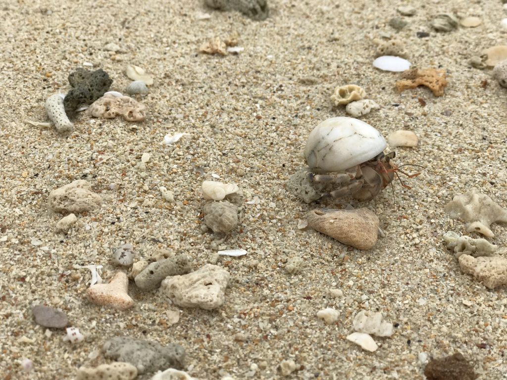 Plaża Koh Ngai Tajlandia