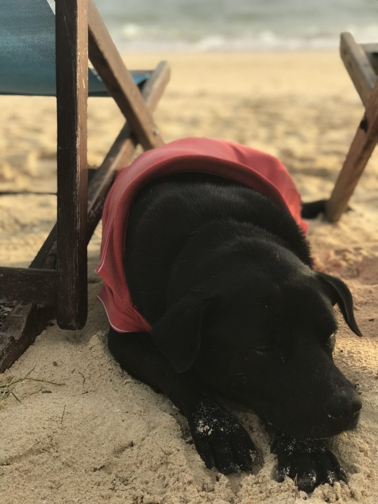 Plaża Koh Ngai Tajlandia