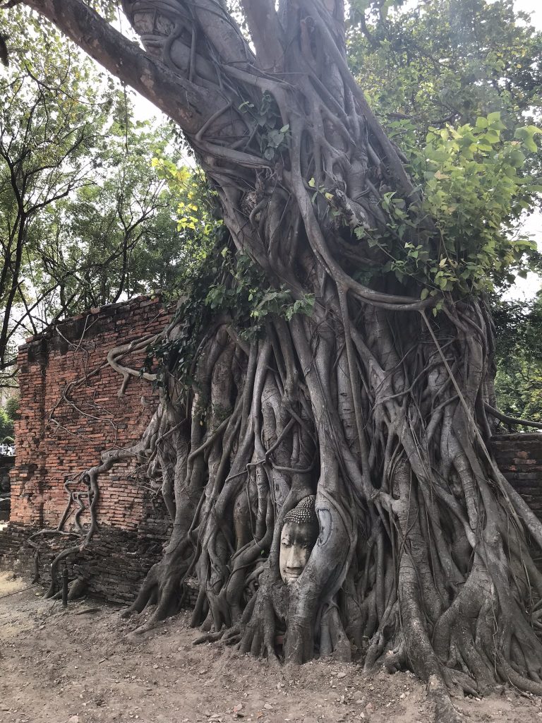 Ayutthaya, Ajutthaja Tajlandia