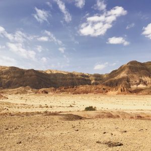 Timna Park, Ejlat