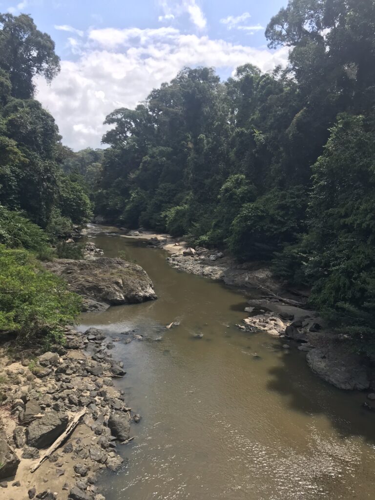 Danum Valley trekking