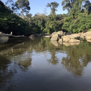 Danum Valley trekking