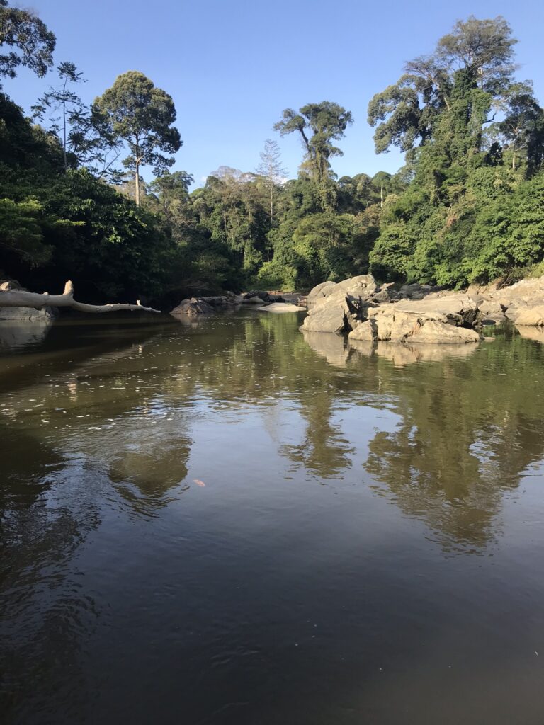 Danum Valley trekking