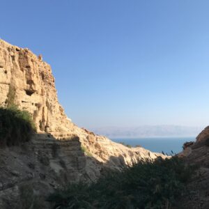 Rezerwat ein gedi izrael